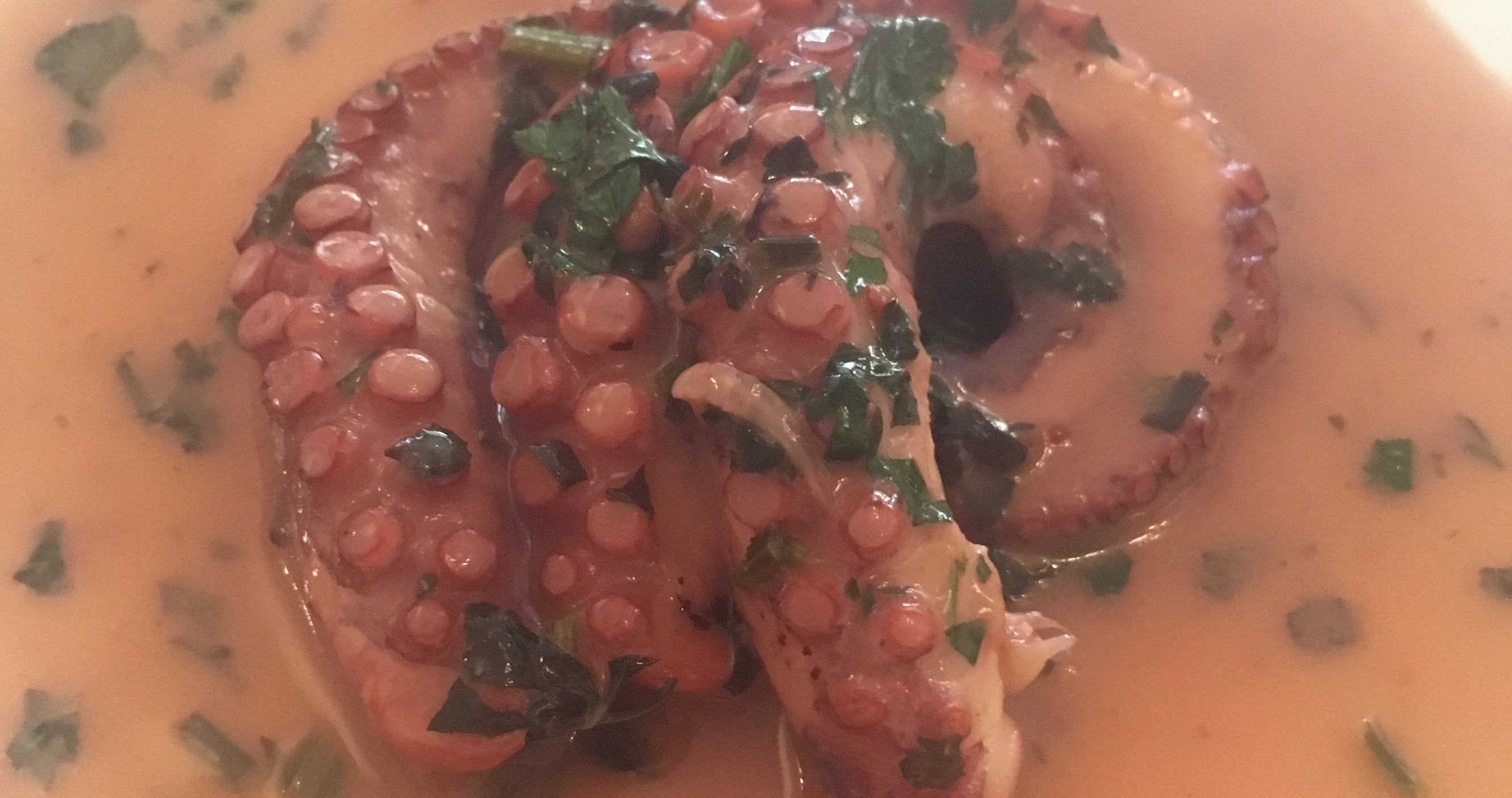 8x octopus peuzelen in Rotterdam