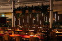 PESCABYNIGHT_ - de Buik van Rotterdam-14.jpg