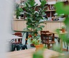 Noordertuin - interieur - de Buik van Utrecht.jpg