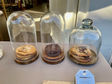 Koekjes cookies Studio Unfolded - de Buik.jpeg