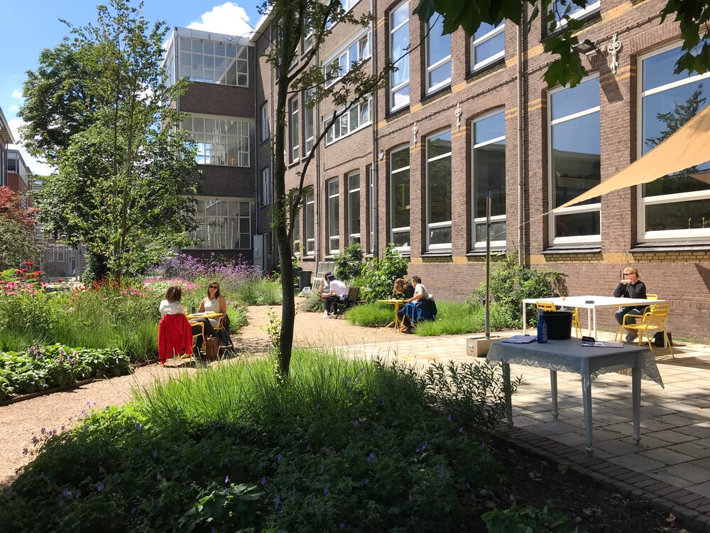 De kleurrijkste binnentuin van Rotterdam-Noord vind je bij De Kok en de Tuinman