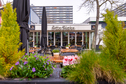 Terras_Otto Hanh_de Buik Rotterdam.jpg