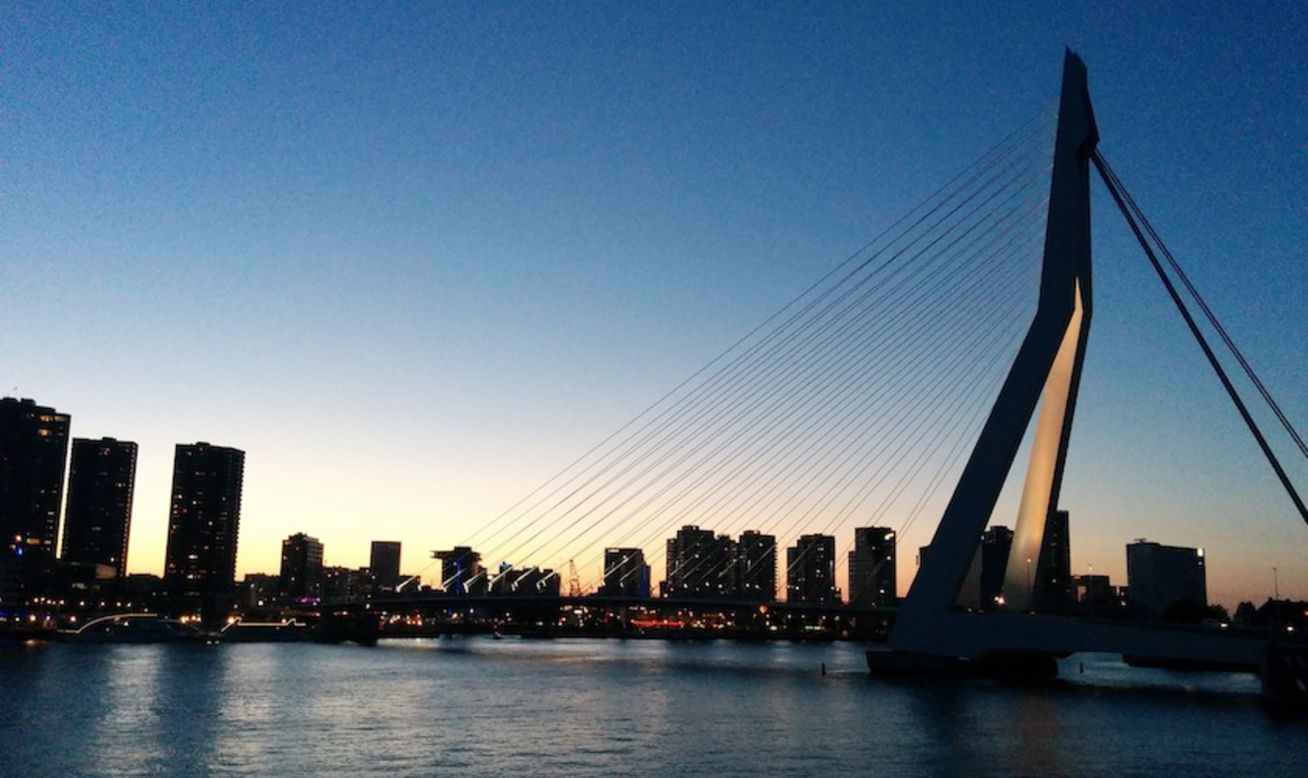 De Rotterdamse Dakendagen: hier leg je een goede bodem