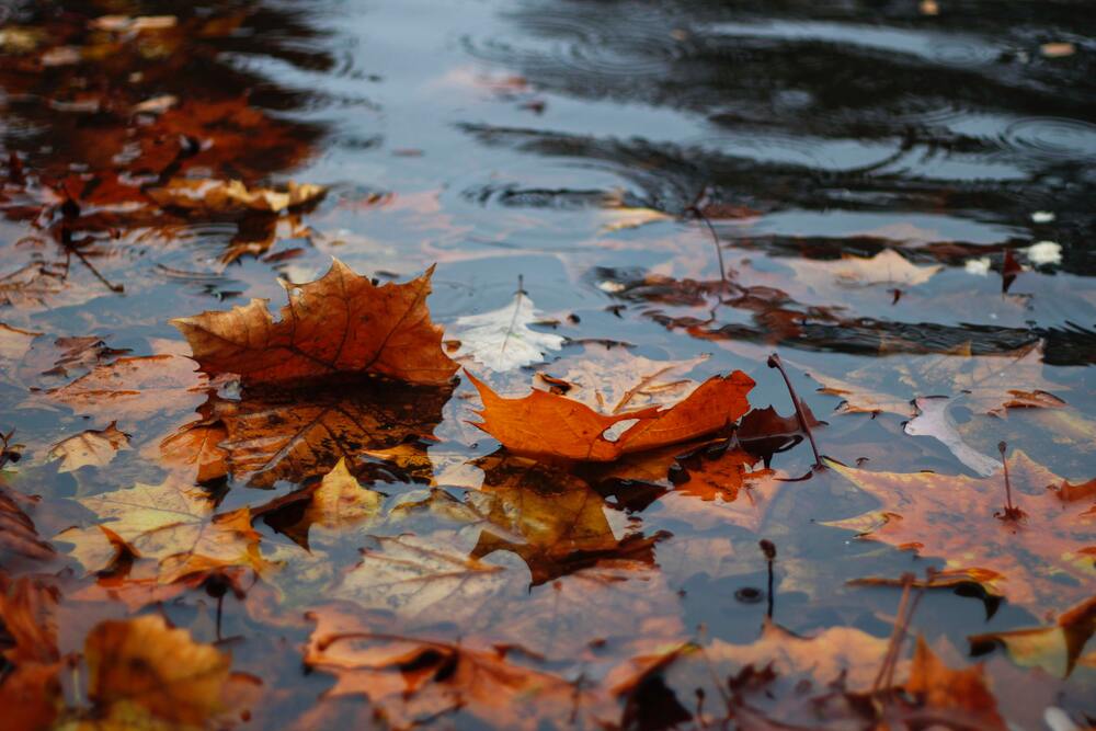 Herfst in de stad