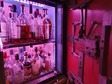 The Malt Vault utrecht whiskybar.jpg
