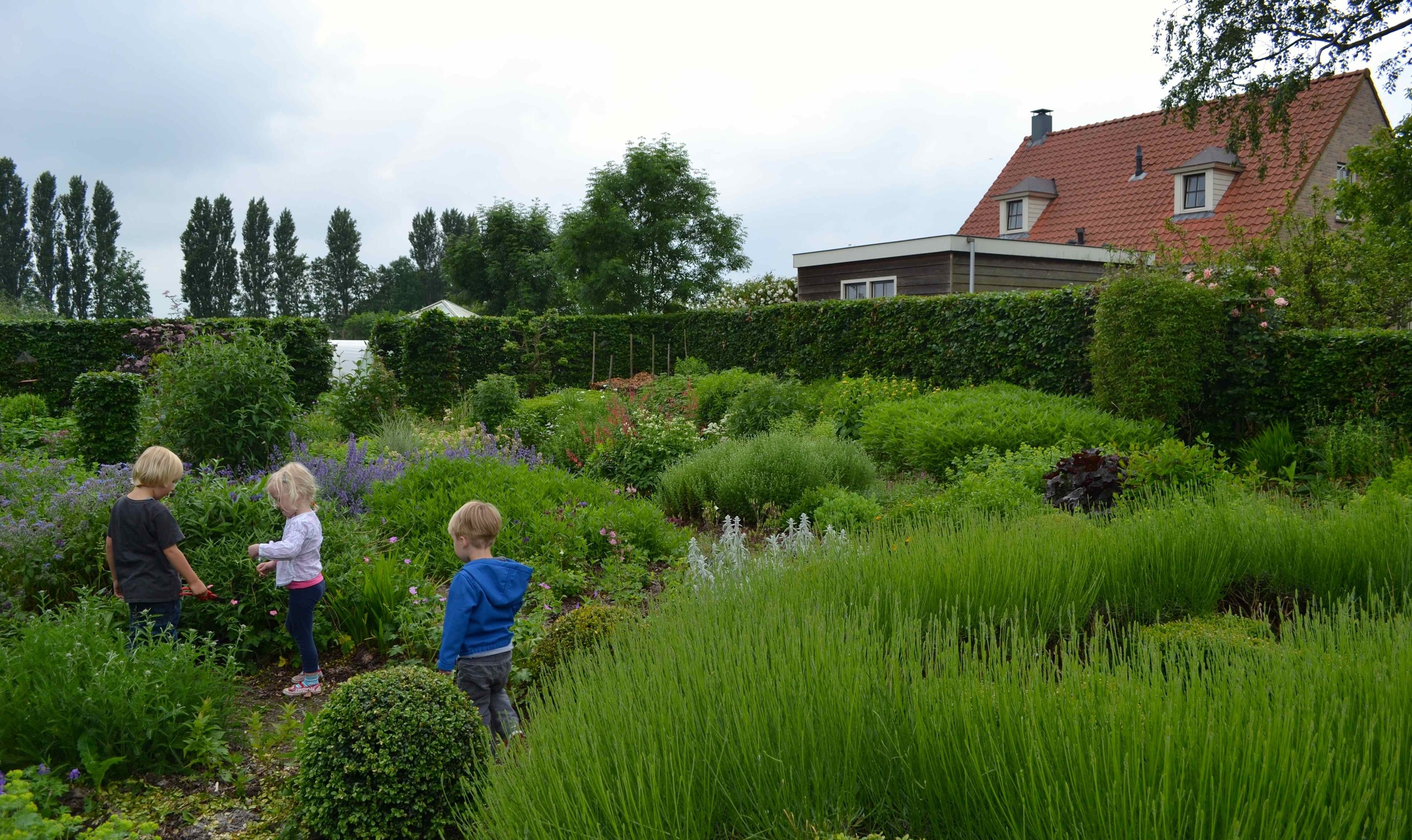 In De Buytenhof zingen de vogels extra hard