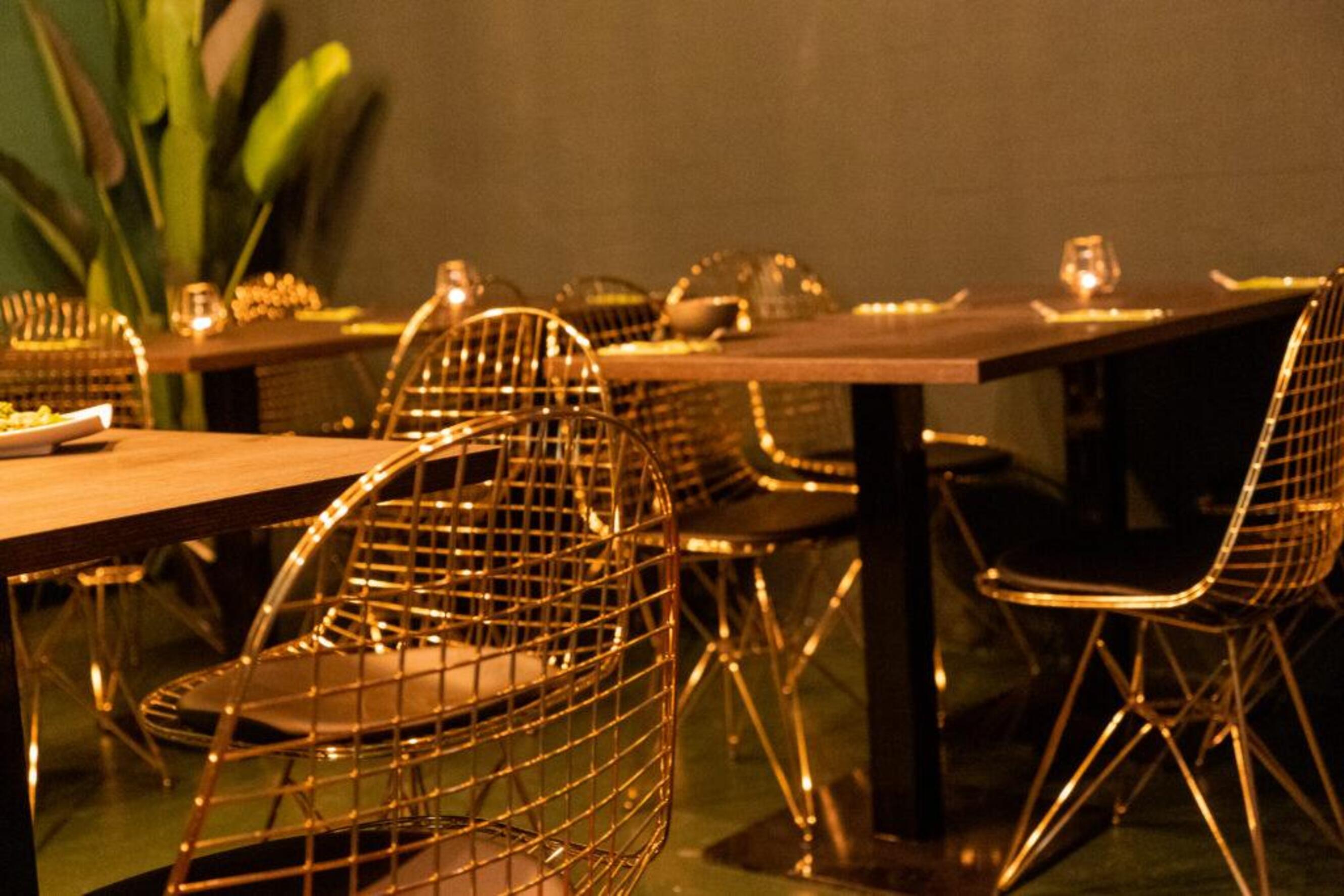 Sabajo Concept Bar