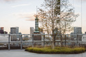 Rooftop-Renilde-Rotterdam.jpg
