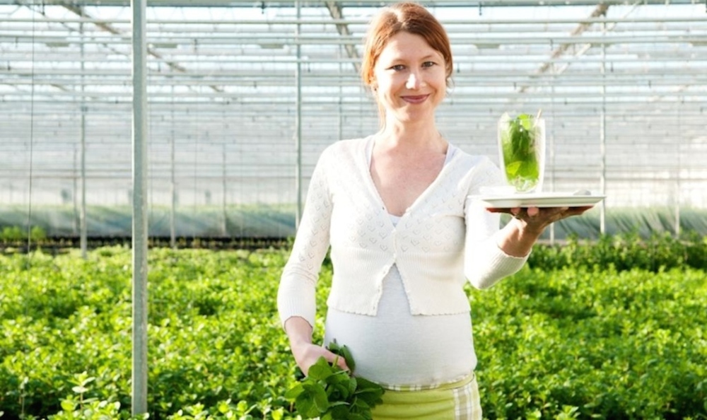 Thee zetten met verse blaadjes van Westlands Plukkruidje