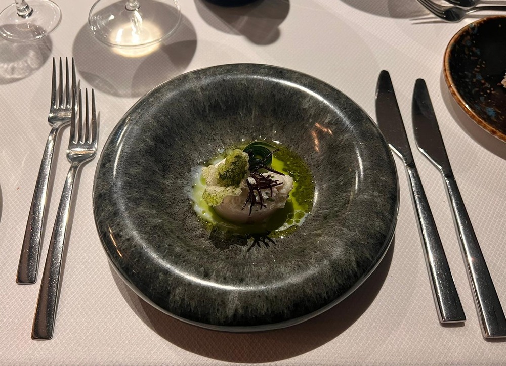Jandorie, wat is de vis fijn bij John Dory