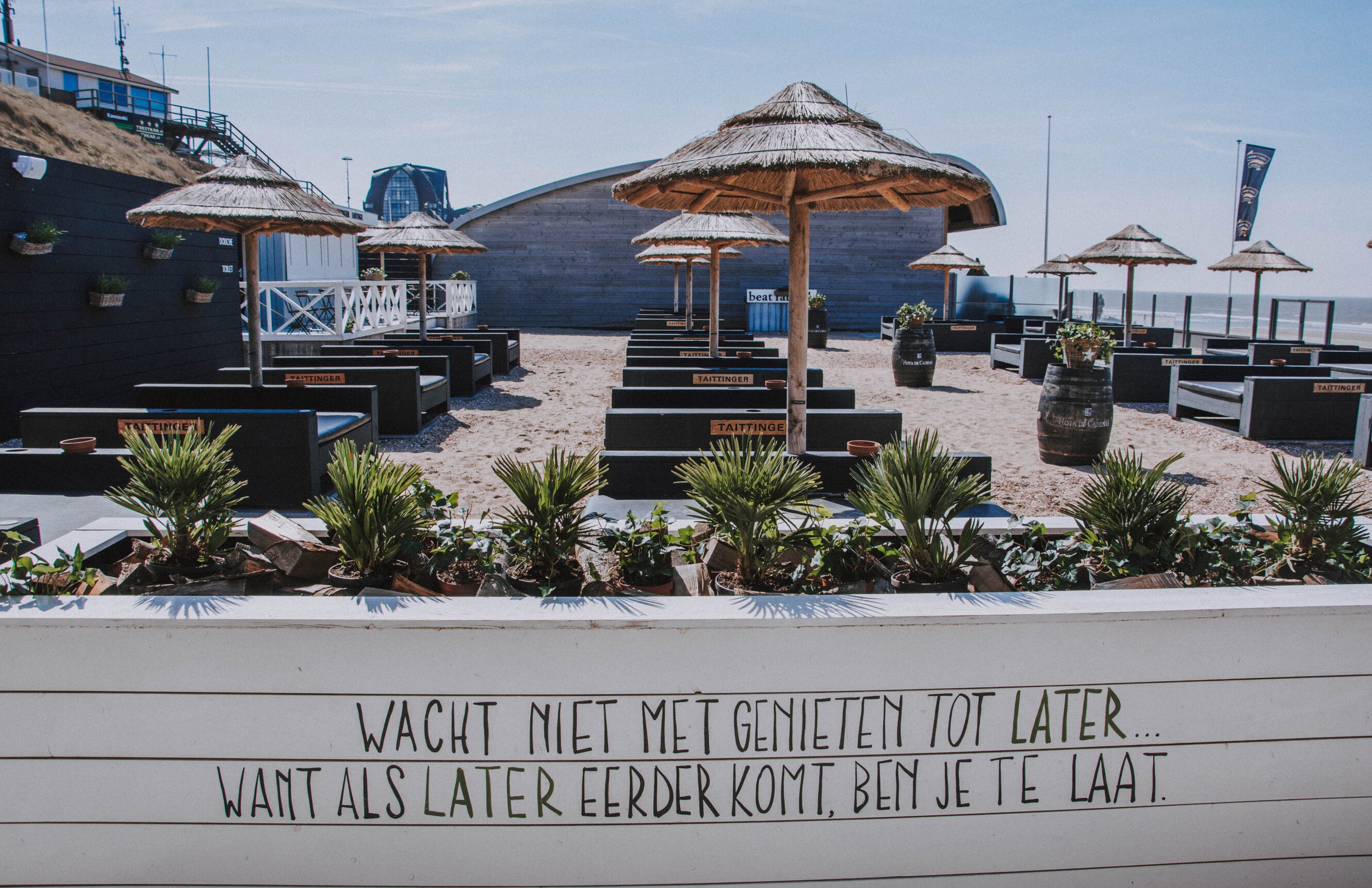 Chemie zaad Dakraam Bakken en braden! 12 x de leukste strandtenten in de buurt van Amsterdam -  De Buik van Amsterdam
