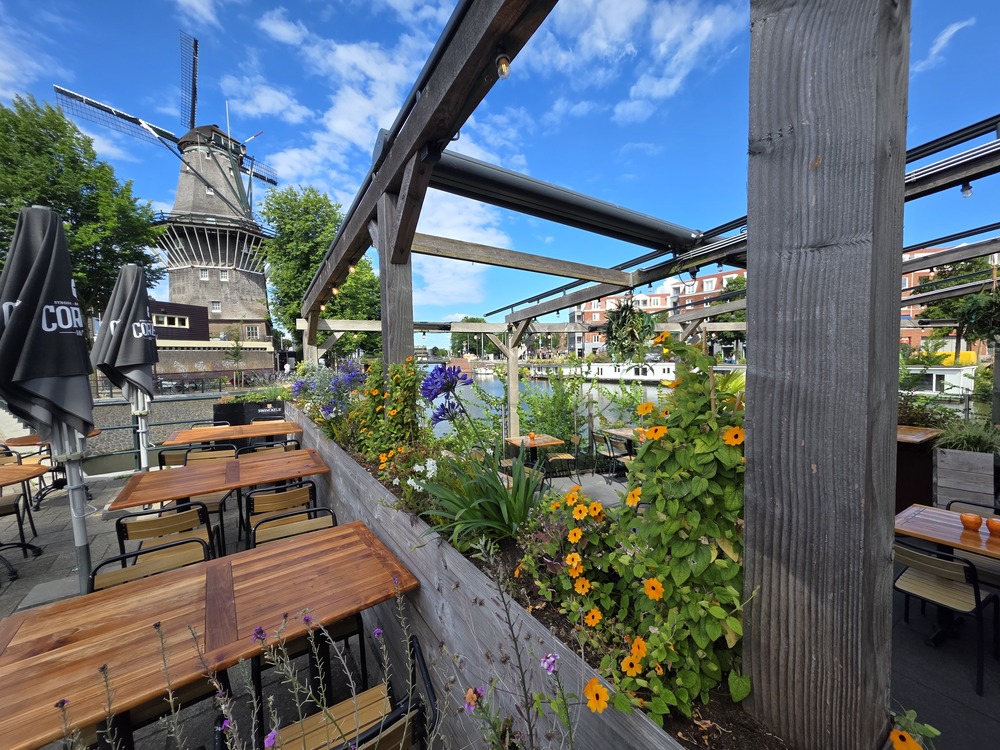 De Kop van Oost, genieten met zicht op de molen