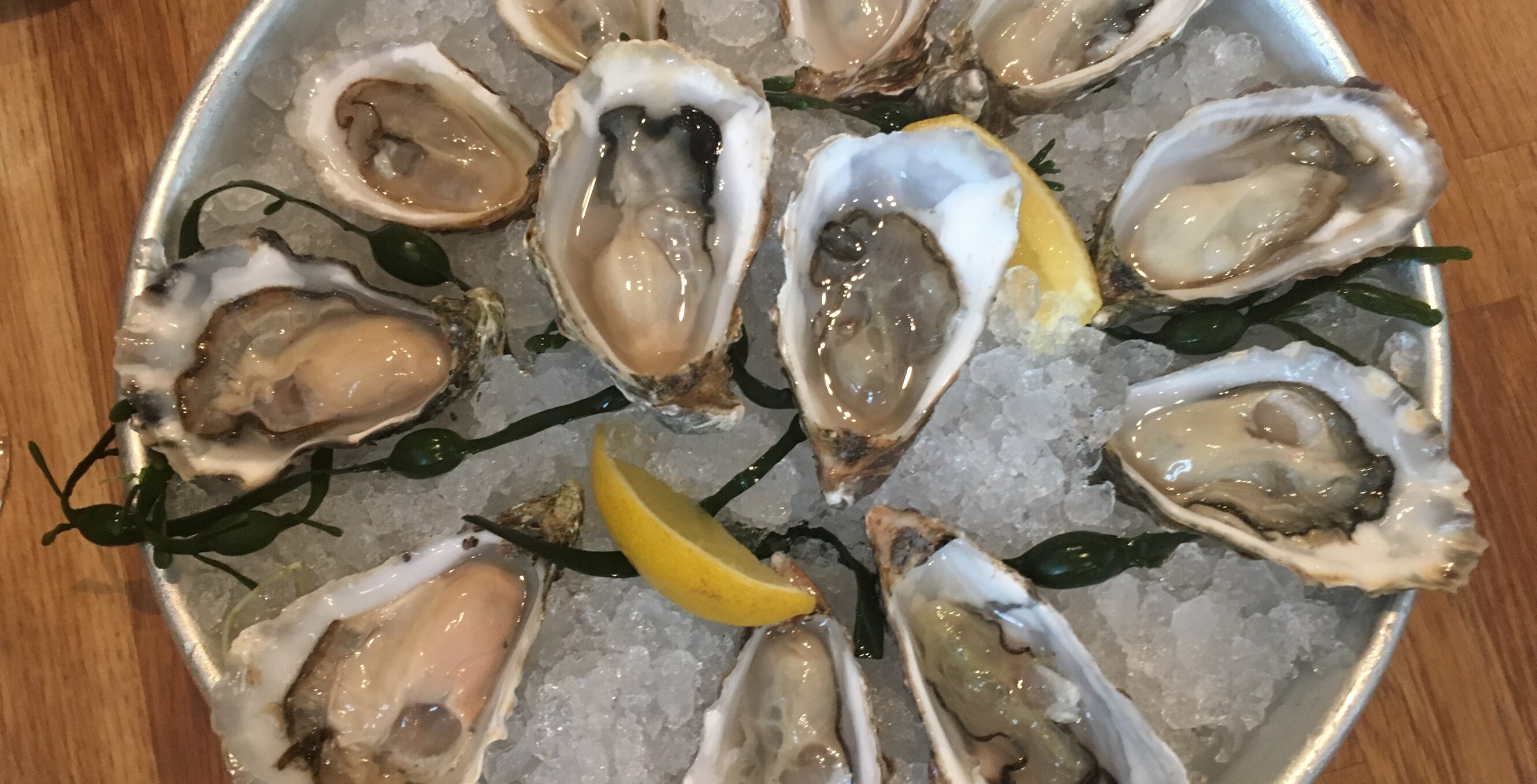 7x oesters slurpen in Rotterdam