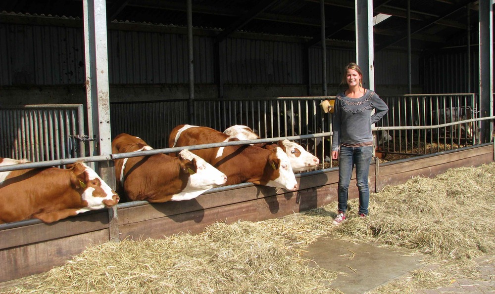 Rauwe melk haal je om de hoek, bij Hoeve Biesland