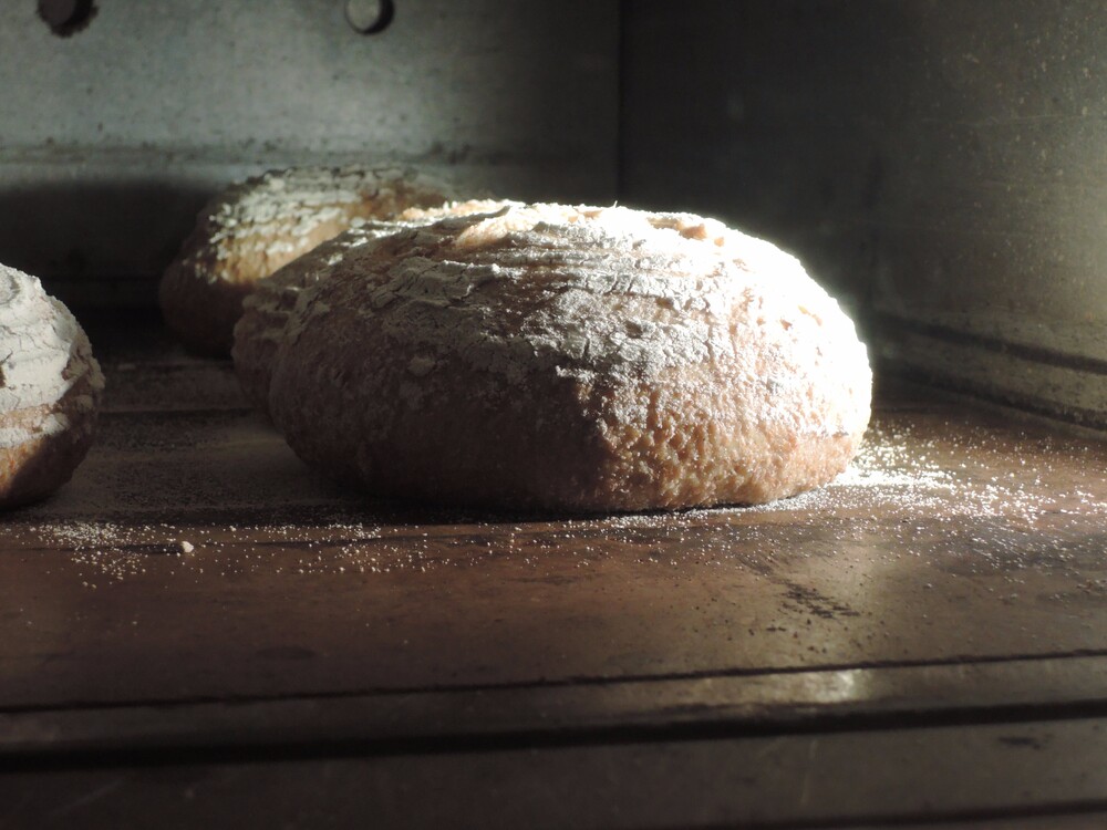 Met de handjes in het deeg bij de Bakkerswerkplaats