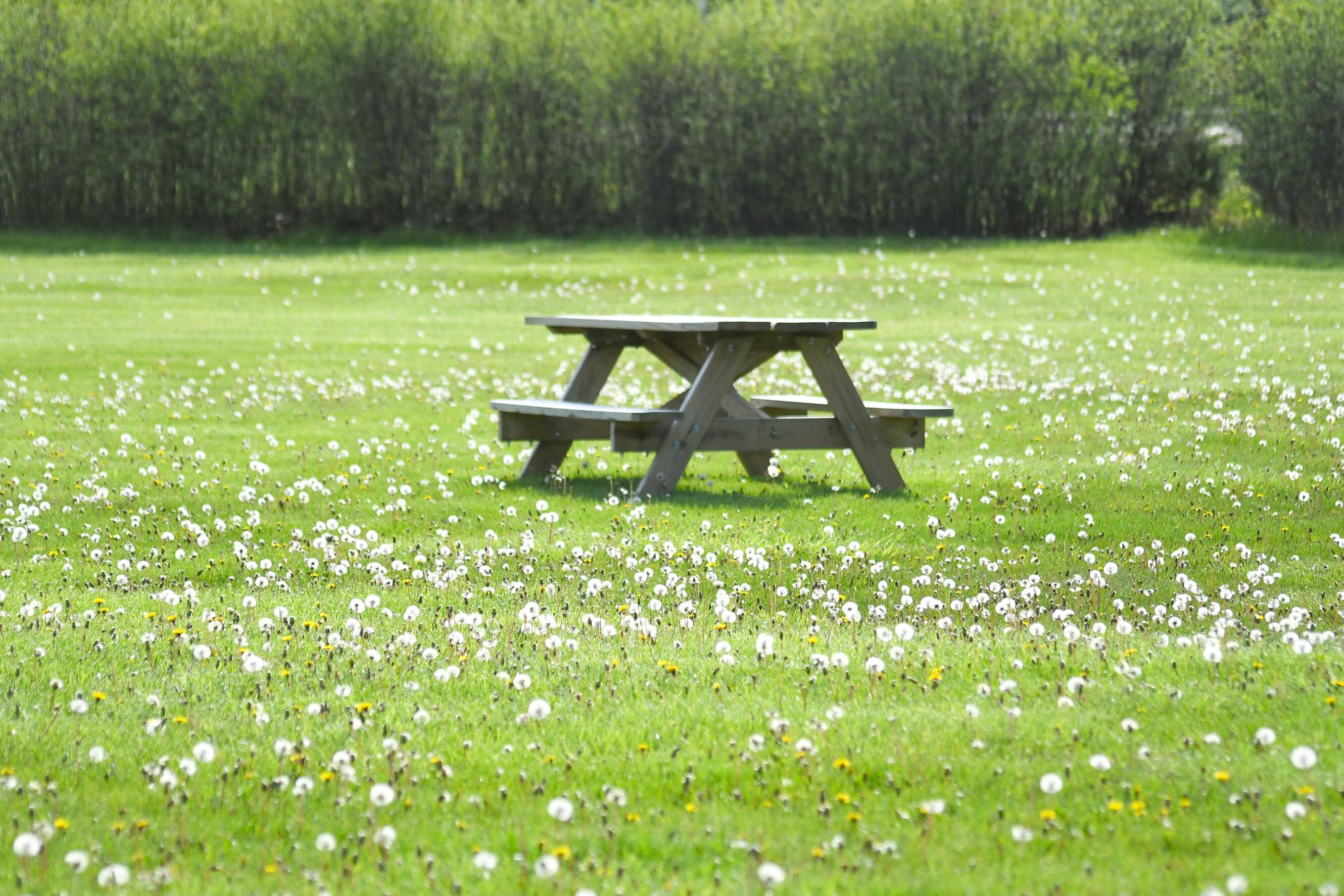 Ontsnap aan de drukke stad en haal wat lekkers tijdens een wandeling bij deze spots in de natuur