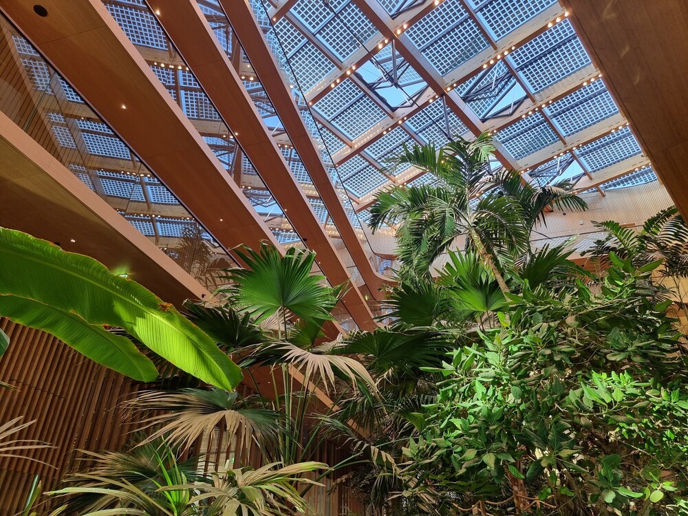 Op de eerste rij aan ‘t IJ bij Cafe Jakarta