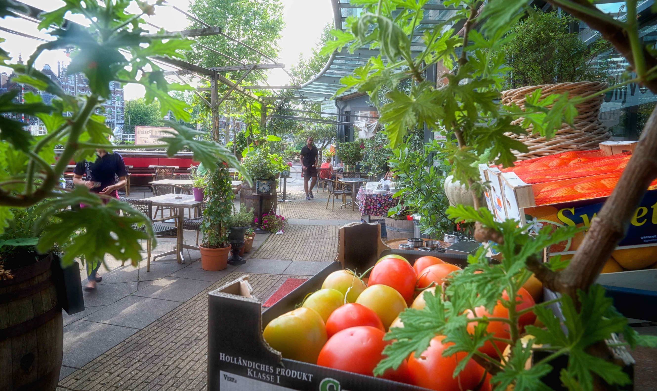 Lekkerste zomersalade is die van De Olijventuin'