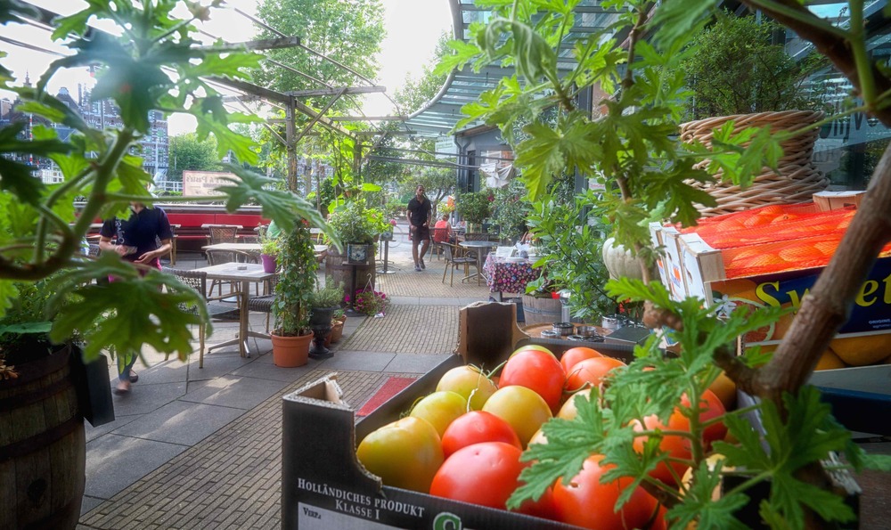 Lekkerste zomersalade is die van De Olijventuin'