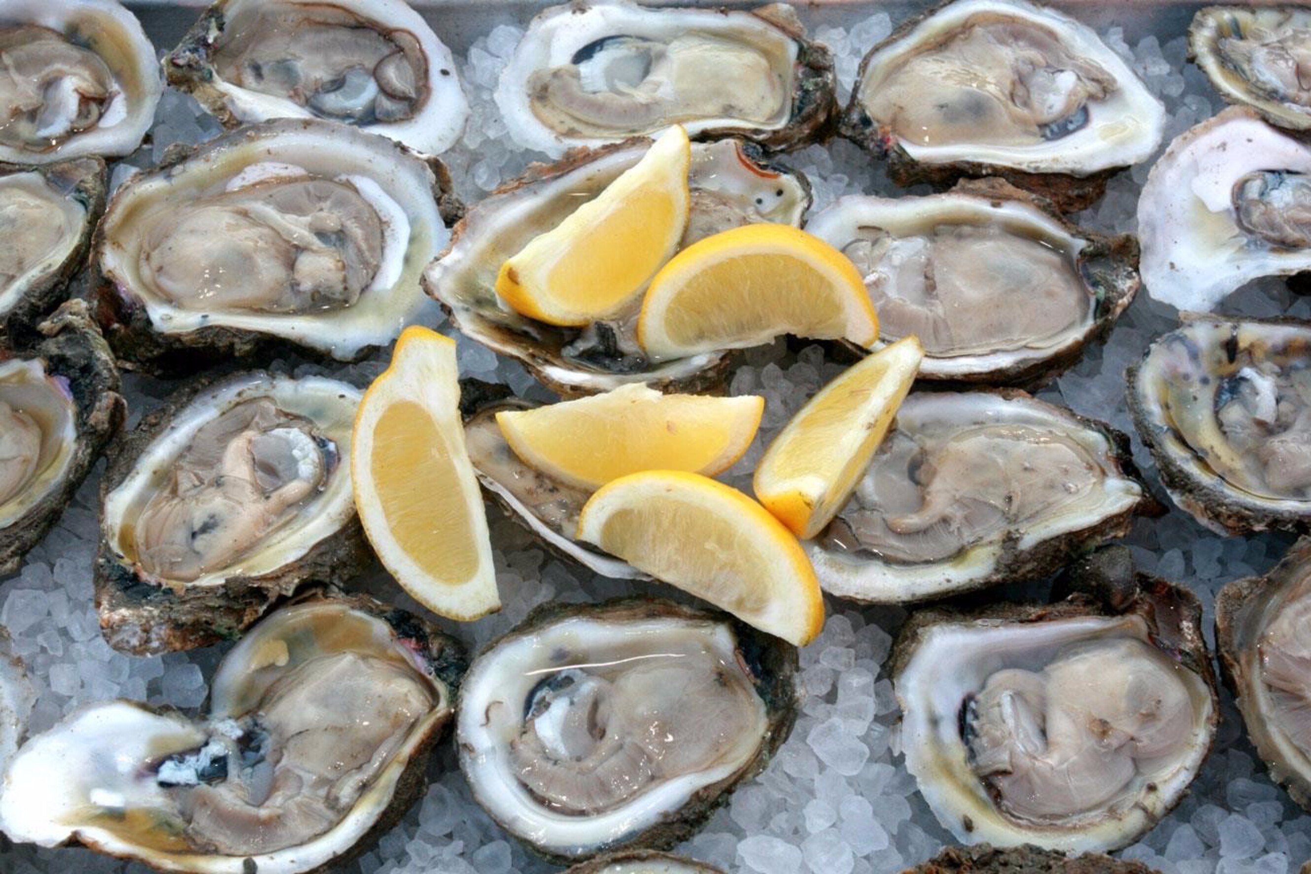 7x oesters happen in Rotterdam