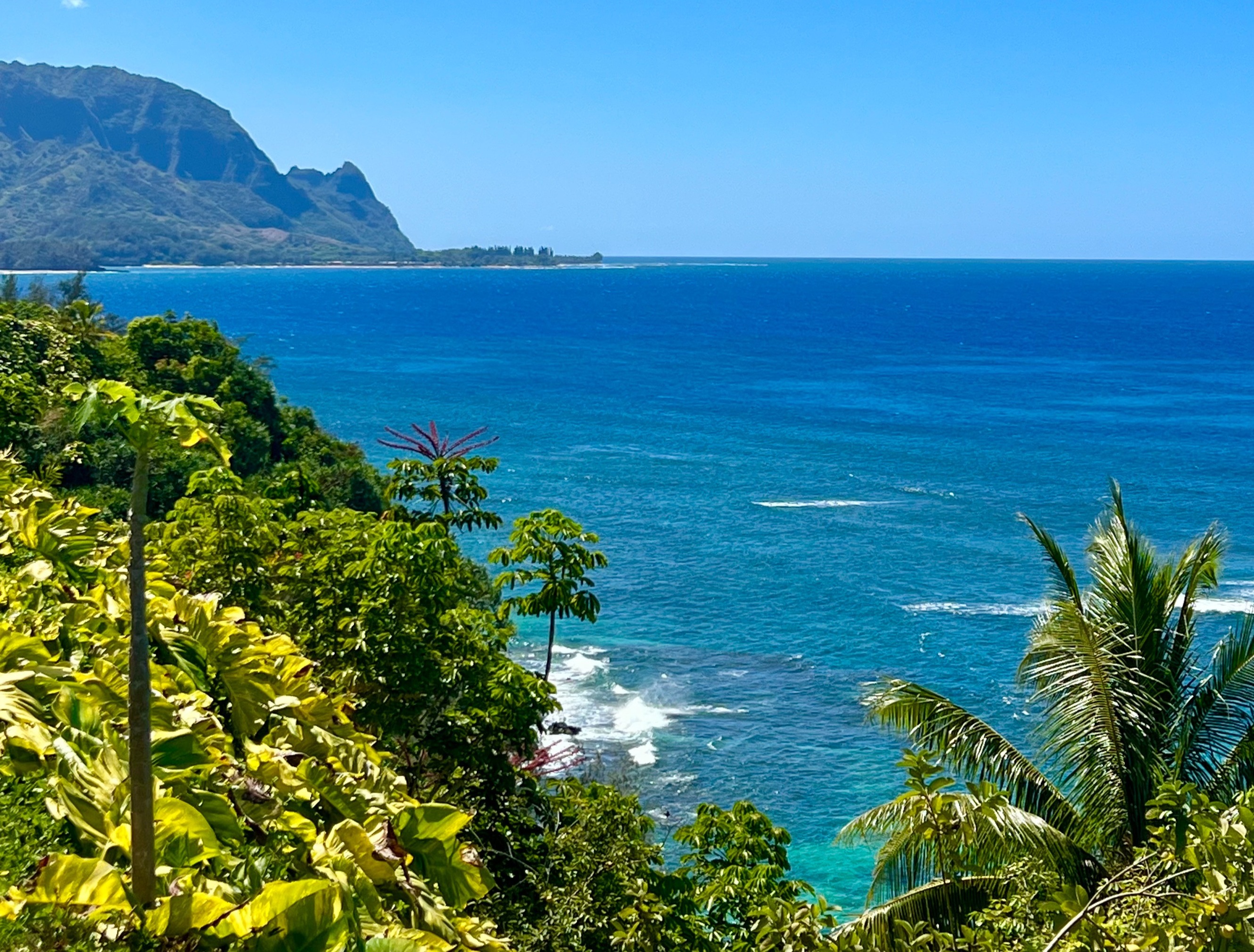 12 tips voor de beste foodtrucks, ontbijtplekken en lokale lekkernijen in Hawaii