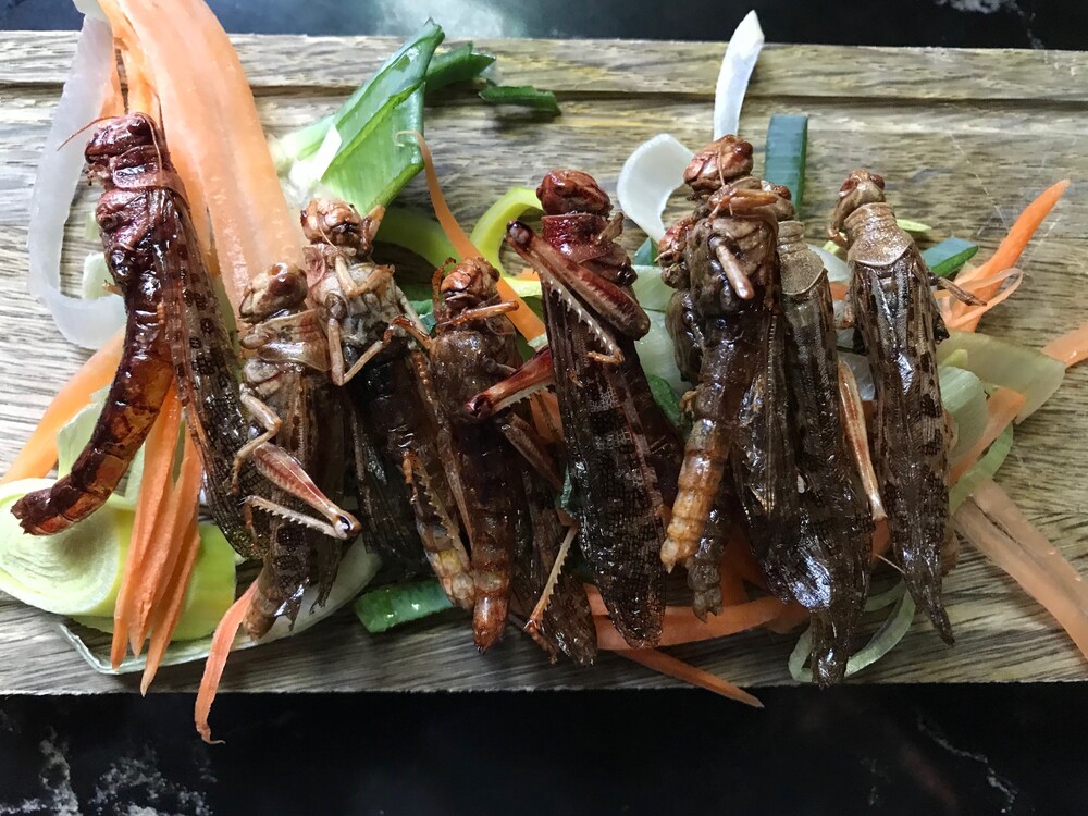 Zet je tanden in een krokodillenstaart en gefrituurde sprinkhaan