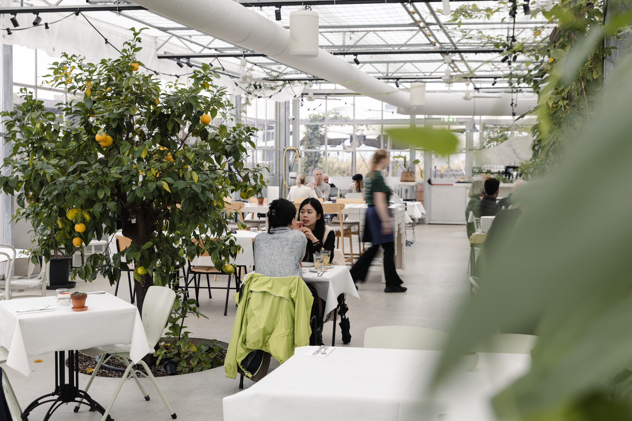 Café Clementine