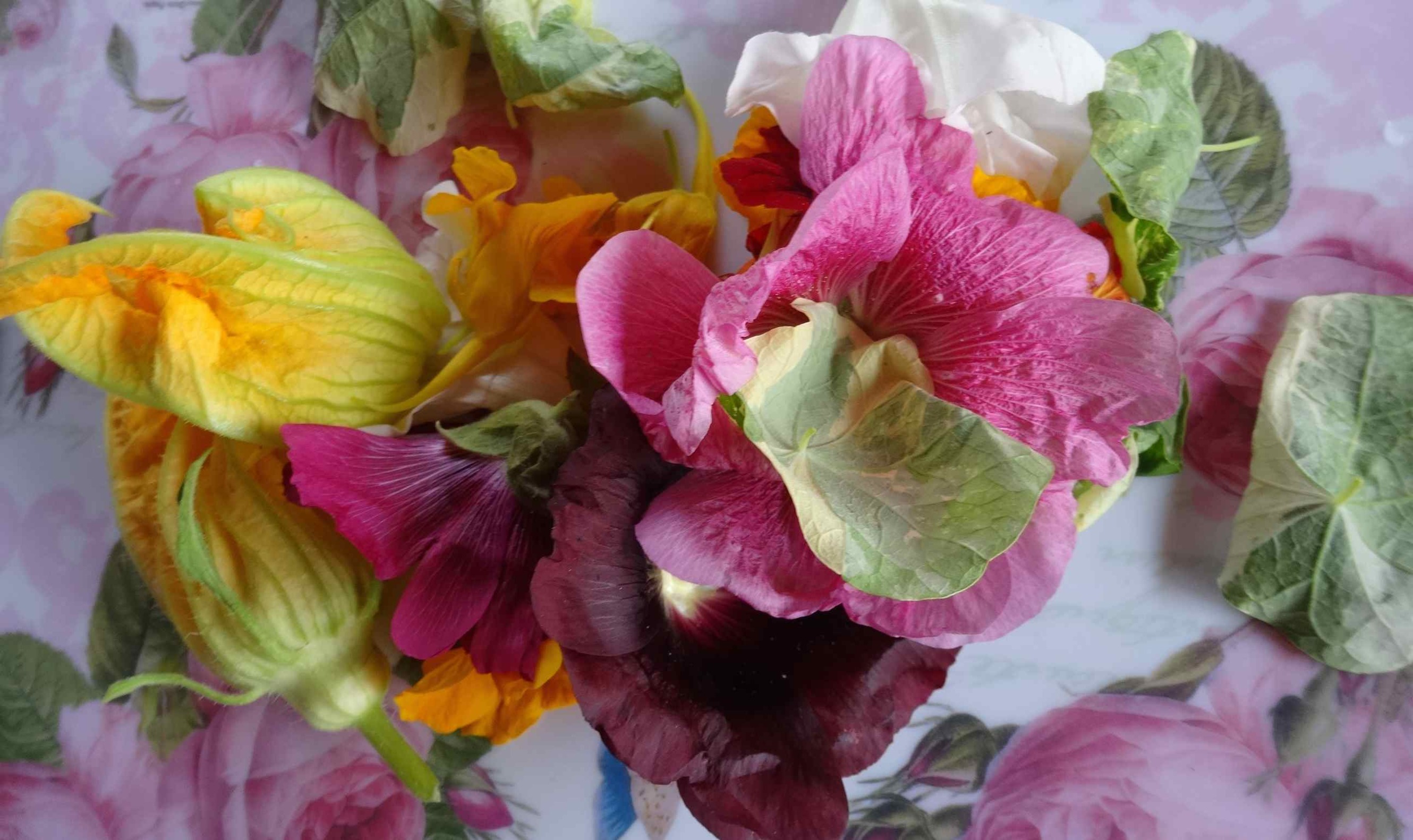 Zelfgeplukte bloemen zijn een verrijking op je bord