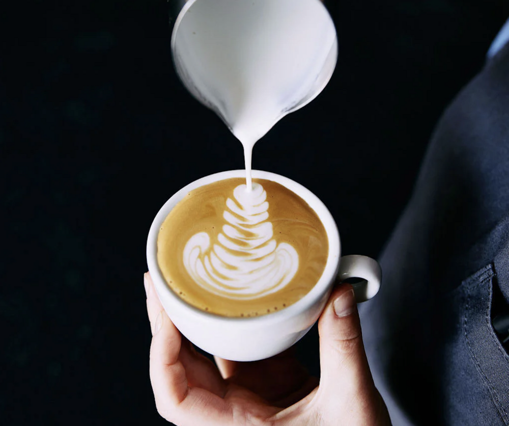 De beste barista van Nederland komt uit… Rotterdam! ‘Hier proef je tien verschillende koffies’