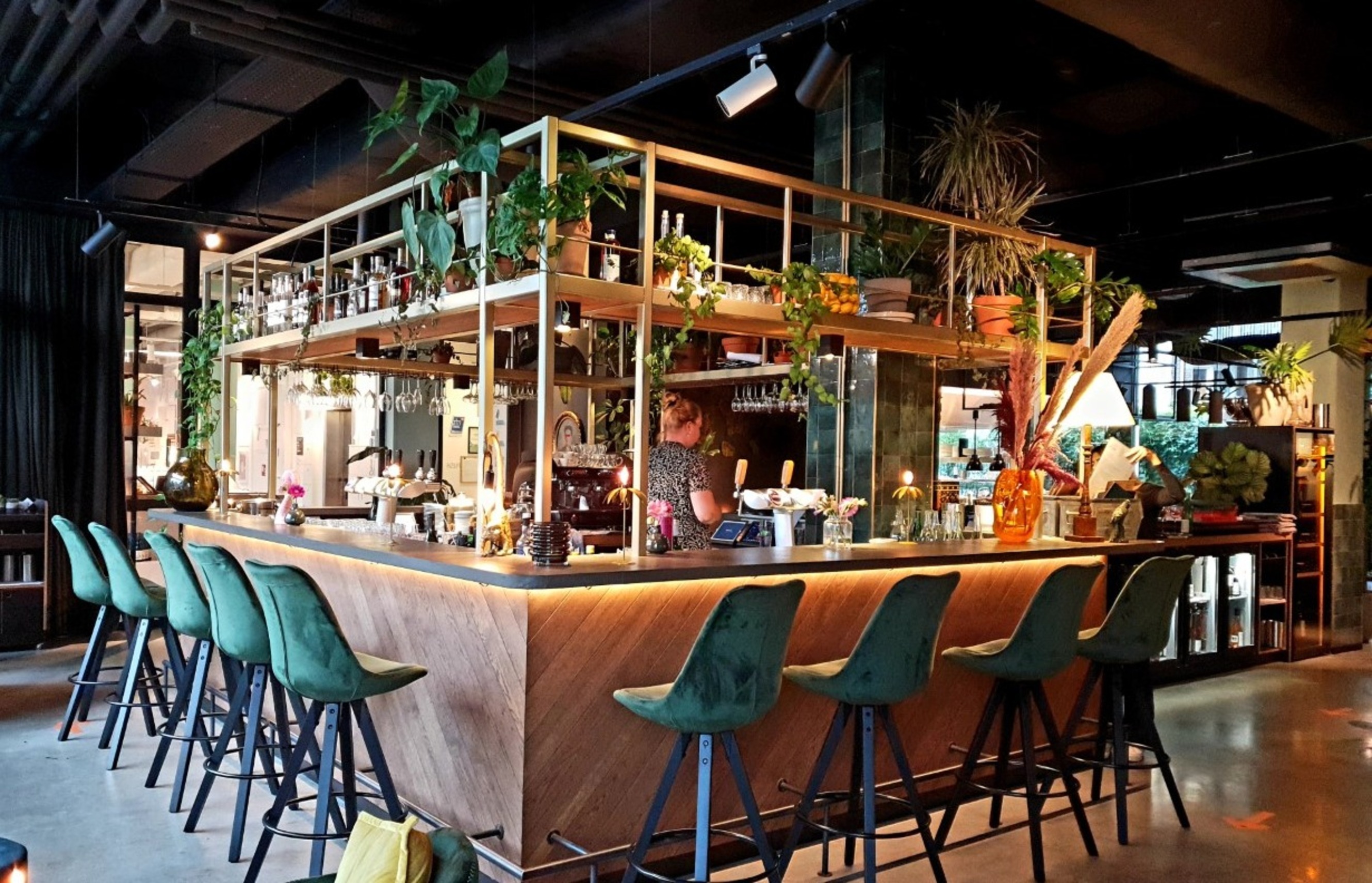 Het vernieuwde Café Moer: biologisch dineren in huiskamerstijl