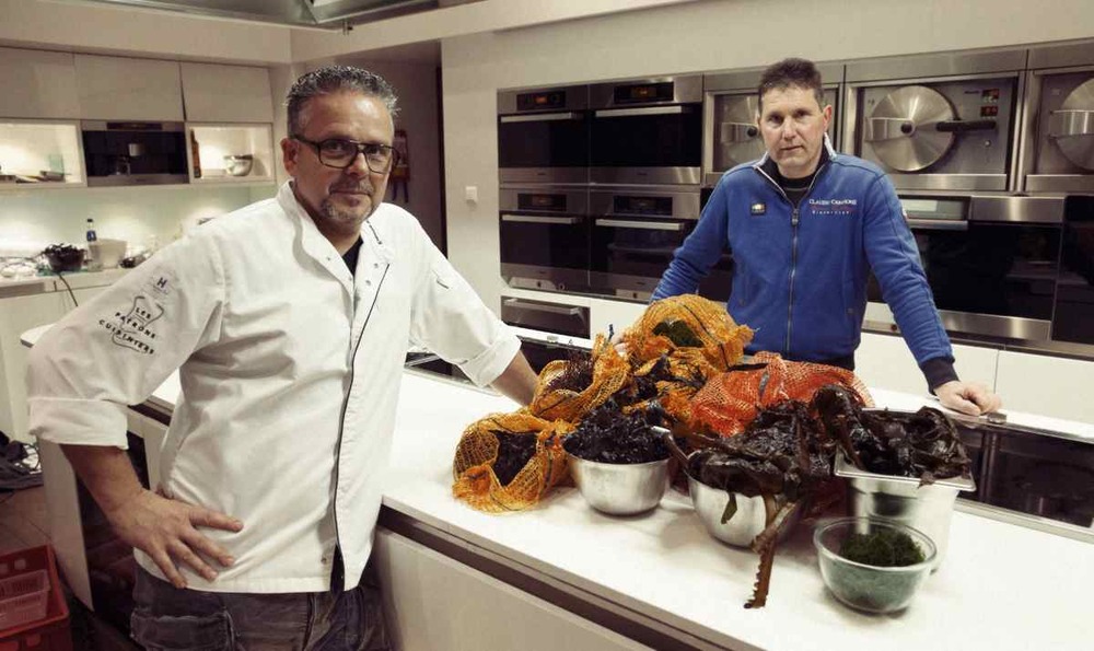 Rotterdamse topchefs in de weer met wier