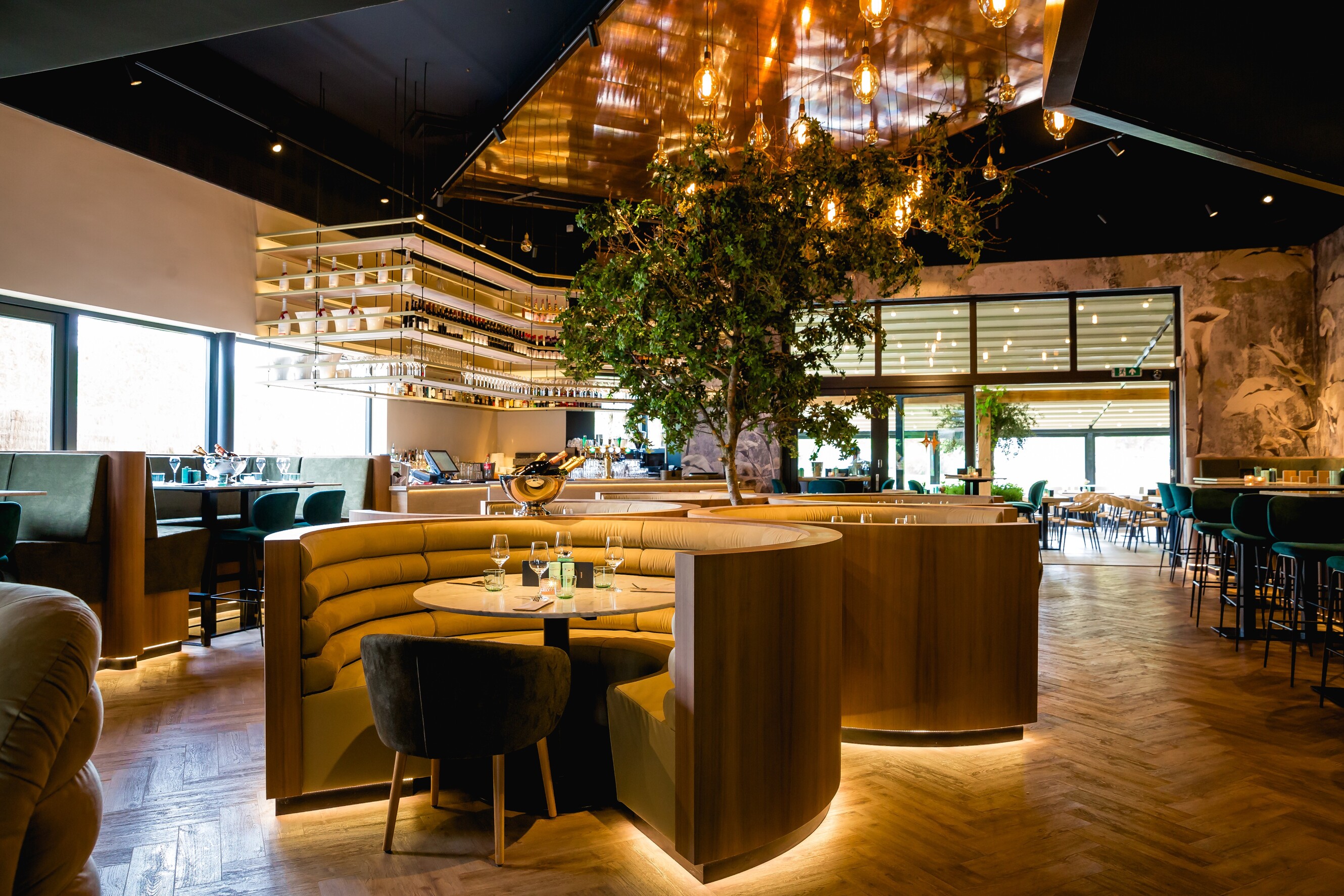 Hotspot Finca is geopend in Kralingen