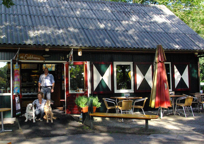 De-Eekhoorn-kralingse-bos
