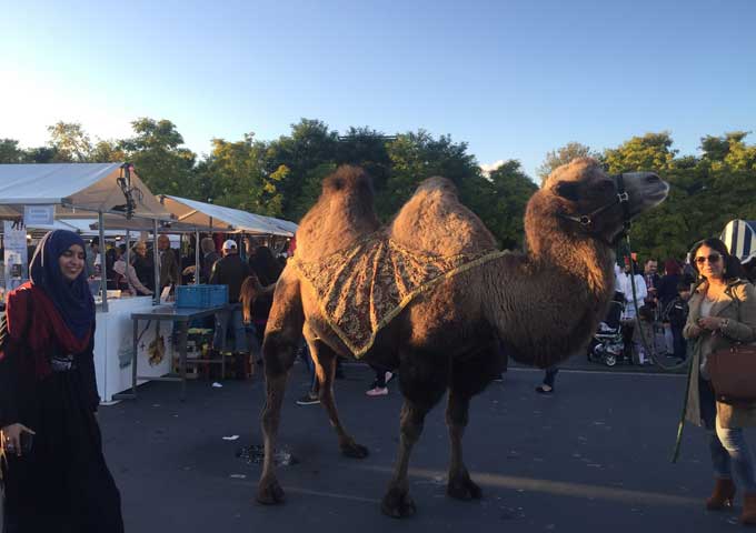 Djemaa Kameel-III-680
