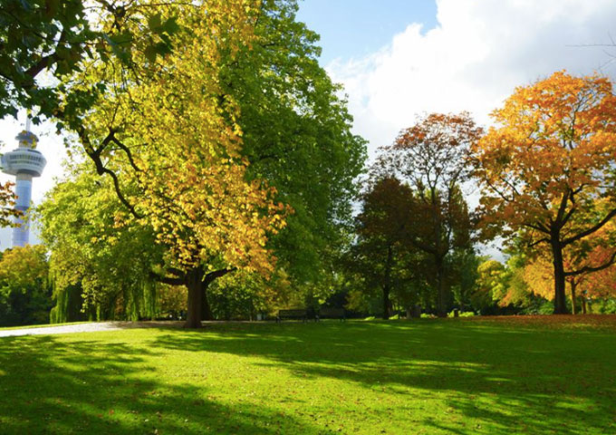 Het-uitzicht-van-Parqiet-in-het-Park
