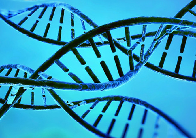 Rotterdam-Science-Festival-dna