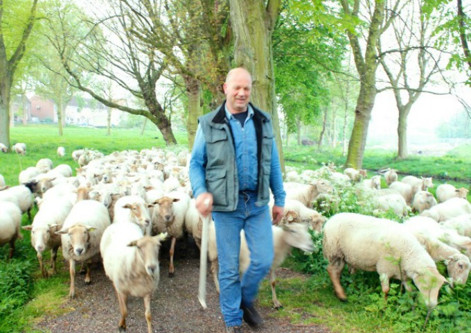 Schapenherder in Park 16Hoven 1