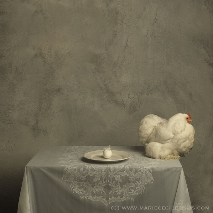 WebcMCThijs FoodPortraits Chicken or Egg