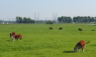 bavette3