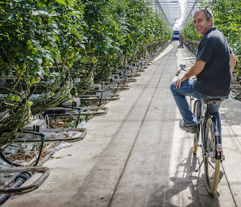 duijvestijn fiets