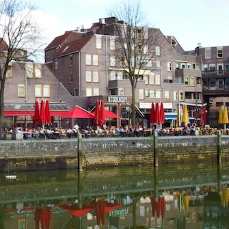 terras2