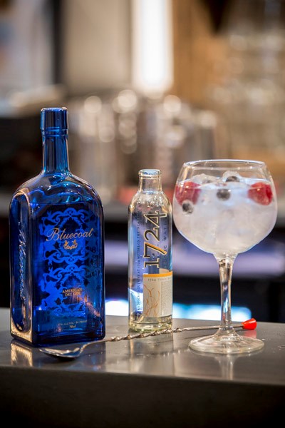 gin tonic