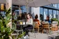 de buik - trattoria sophia - rotterdam - terras.JPG