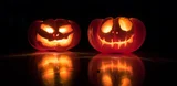 Griezel, proef en beleef het najaar bij deze zaken in Rotterdam