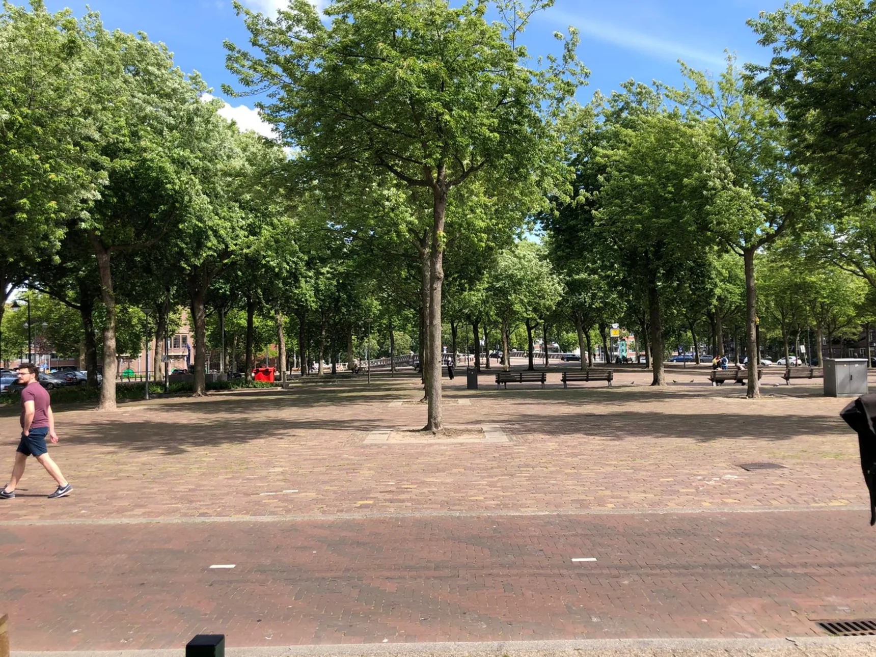 Coronaproof XXL terras op het Noordplein