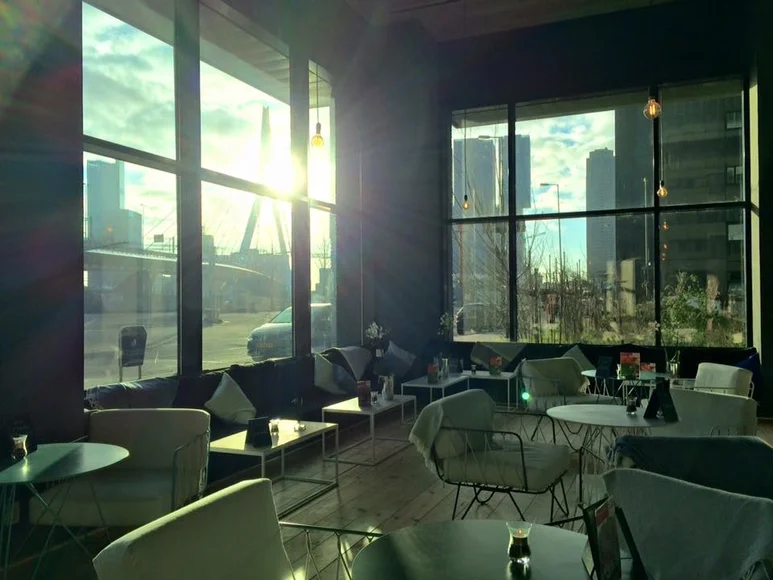 Onder de Erasmusbrug lunch & lounge je bij The Art
