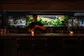OX - Stefan behind the bar - de Buik van Rotterdam Cogenbach.jpg