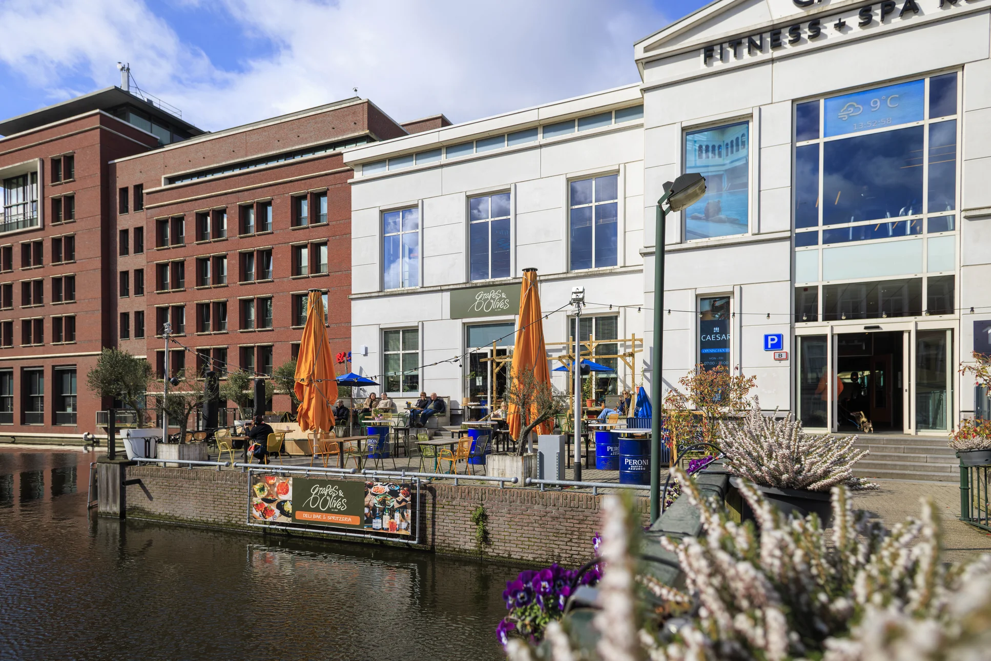 Grapes & Olives Delibar