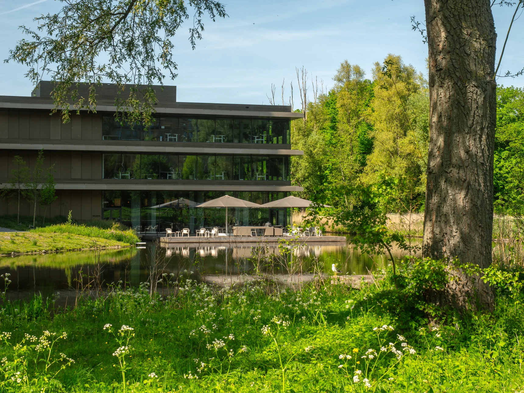 8 x heel lekker eten op de mooiste terrassen van Amsterdam
