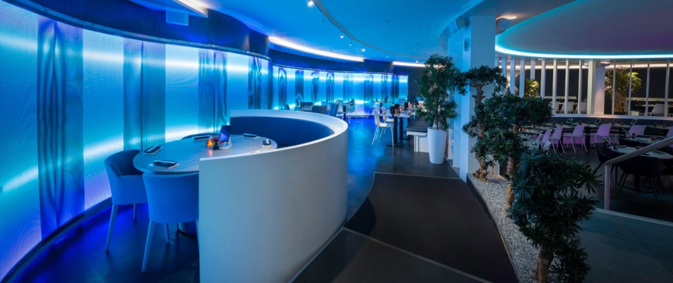 Shiki Sushi & Lounge